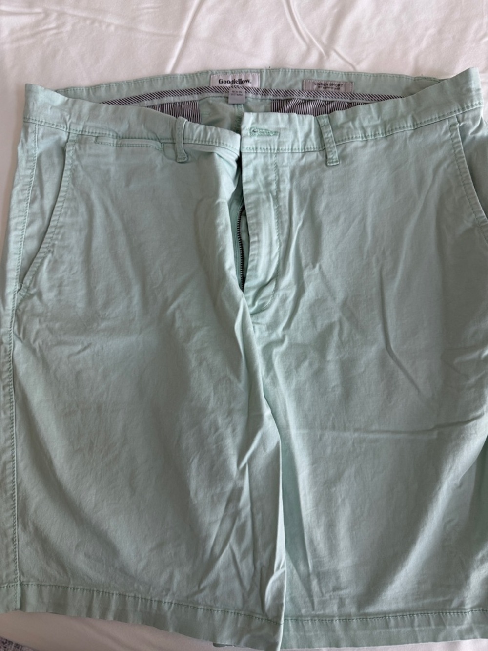 Goodfellow & Co Light Mint Green Chino Shorts